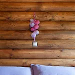 Hotel Yliessa Domnista