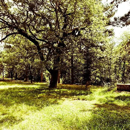 Ξενοδοχείο Yliessa