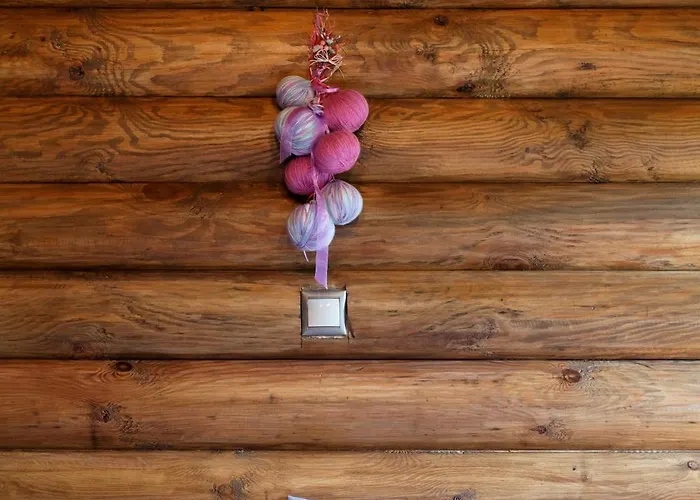 Hotel Yliessa Domnista